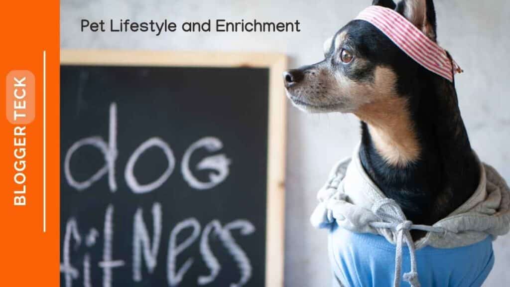 pet lifestyle