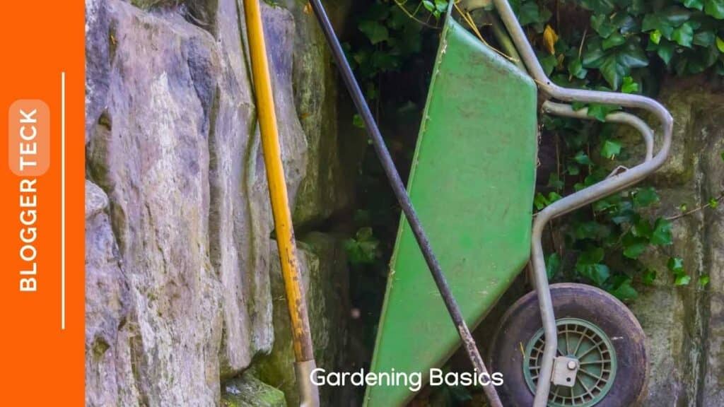 gardening basics