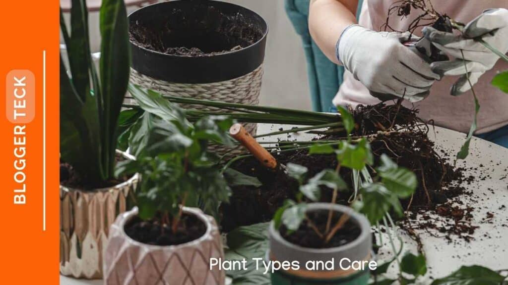 Plant Types and Care