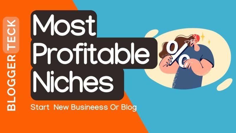 most profitable niches