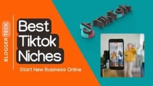 TikTok niches