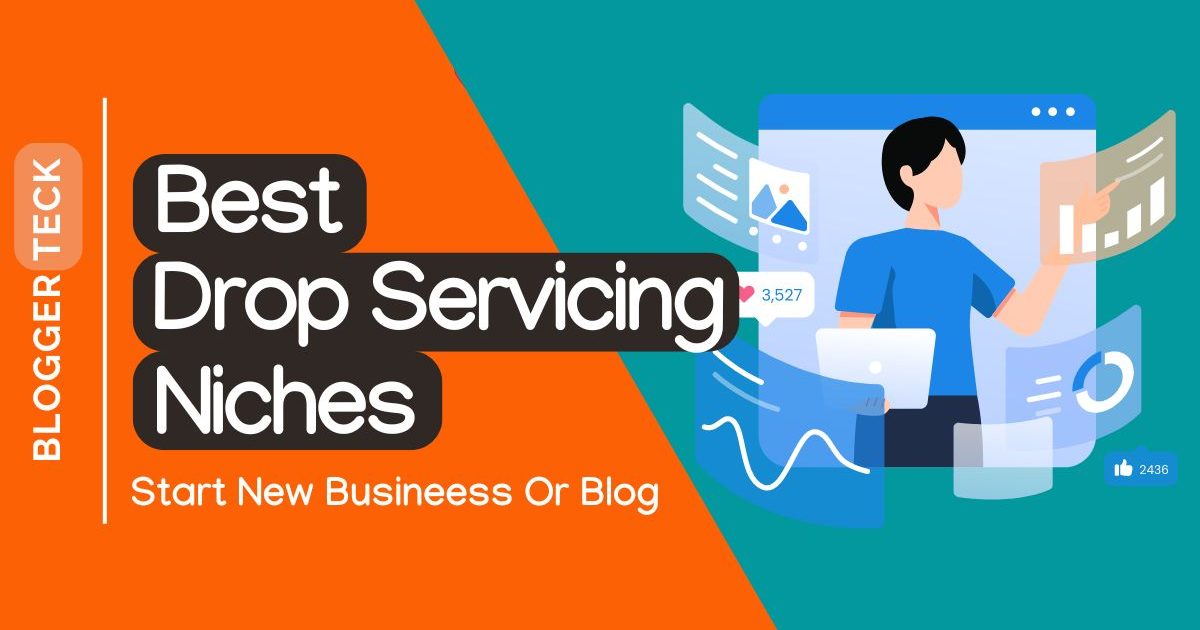 drop servicing niches