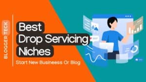 drop servicing niches