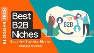 best b2b niches